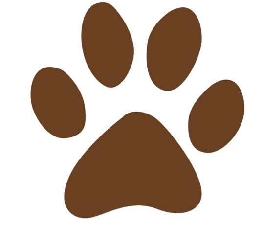 Paw icon